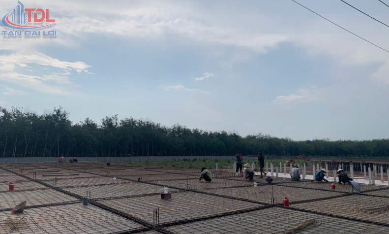 Công ty Tân Đại Lợi Hợp Tác cùng Công ty nông nghiệp phú Thành, sang lắp xây dựng trang trại nuôi gà thịt Tây Ninh